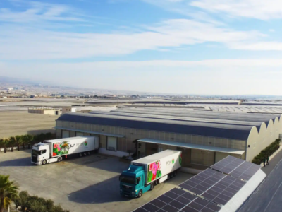 Producción Ornamental Mediterráneo