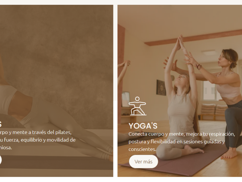 Sanyzenfit