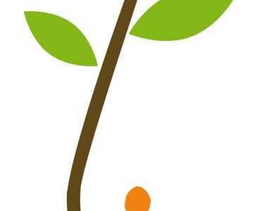 Ecoalimentaria