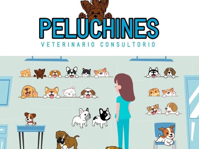 Clínica veterinaria Peluchines