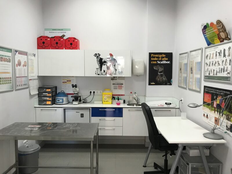 Veterinario Pozuelo Estación