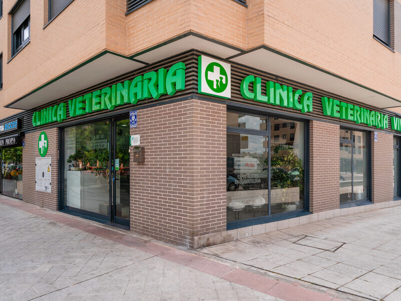 Clínica Vivero