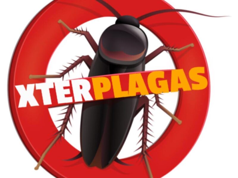 Xter Plagas