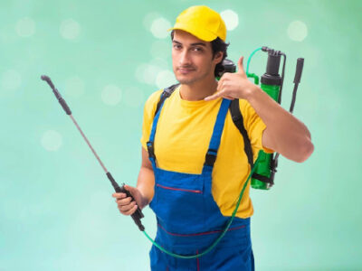 Desla Control De Plagas