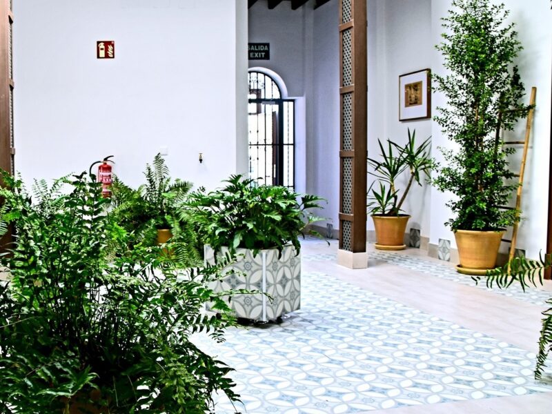 Apartamentos turísticos Mamelón